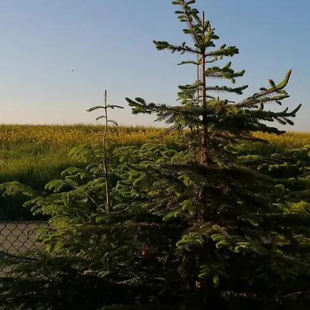 Lendhouse - Pod Gwiazdami בית נופש Sapow